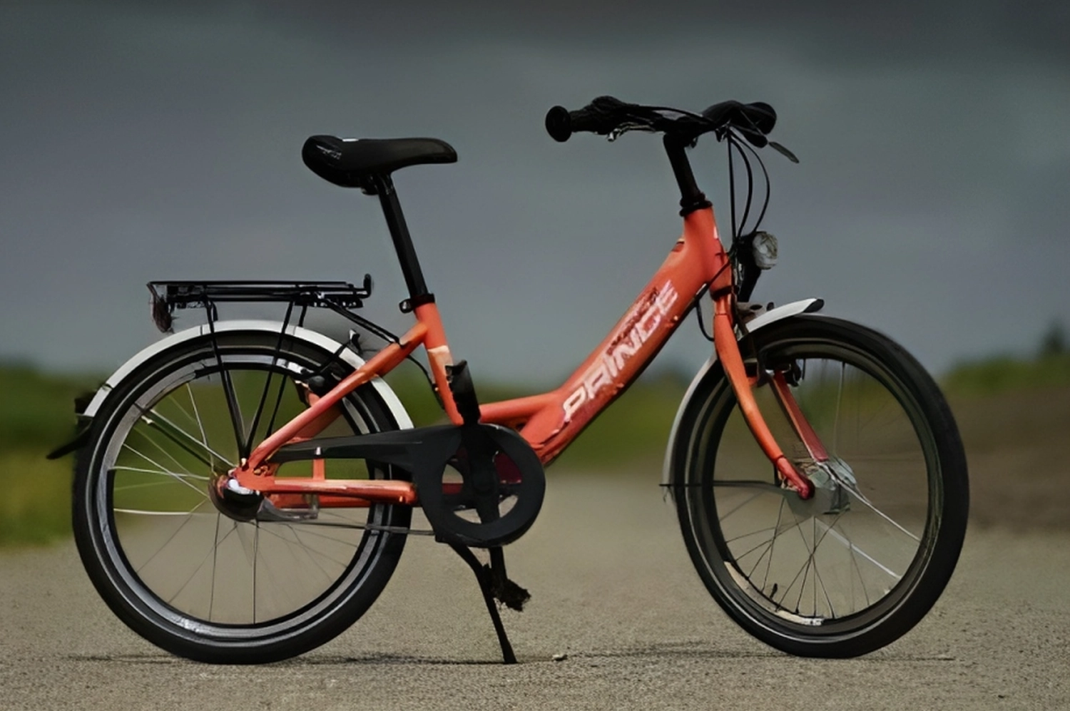 18“ Kinderrad Fahrradverleih Ordinger Plüschbrummer
