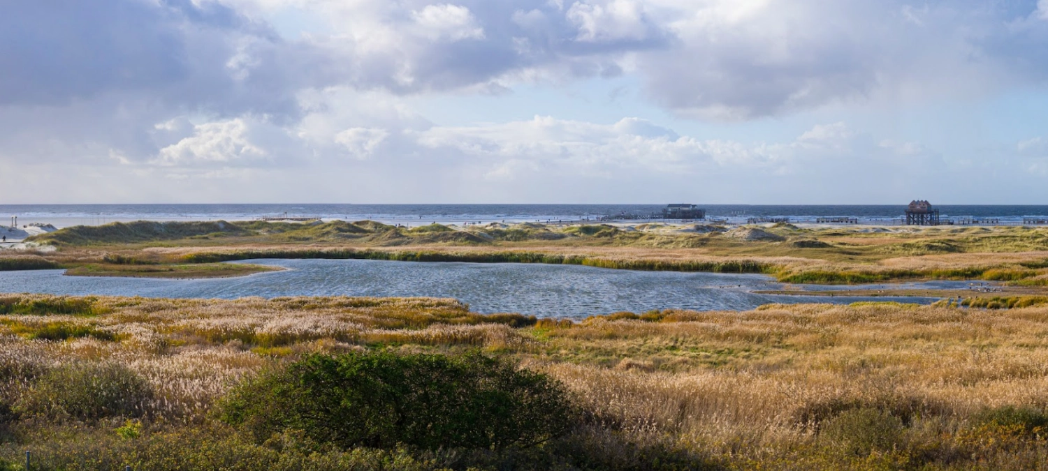 Strand Fahrradverleih Ordinger Plüschbrummer