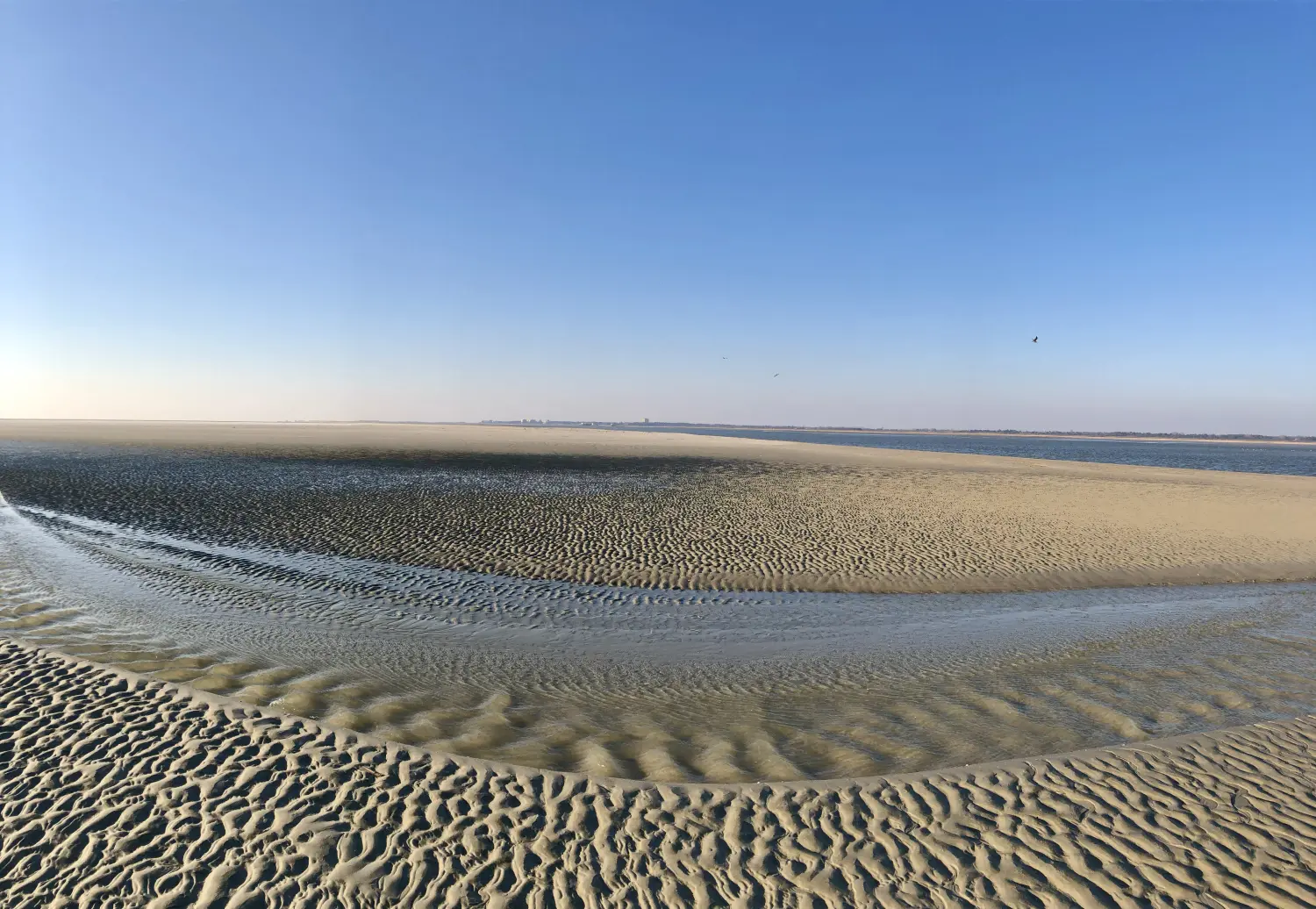Strand Fahrradverleih Besteller Plüschbrummer